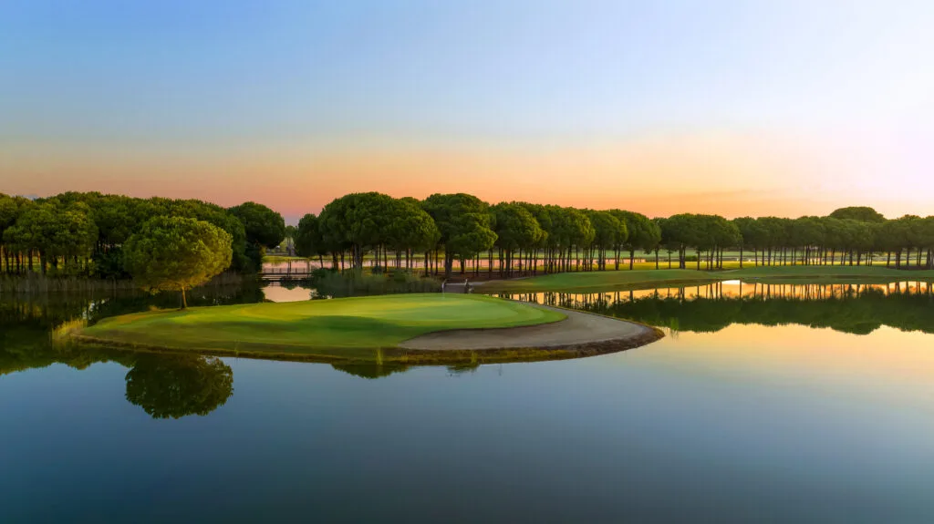 New Course, Gloria Verde